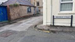 How Did an 89-Year-Old Woman's Tragic Accident with a Recycling Lorry Spark a Heartfelt Tribute?