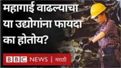 महागाईच्या काळात हे उद्योग अफाट पैसा कसा कमवतायत?