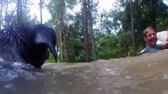 Bodycam shows jet ski rescue of man and dogs in flood