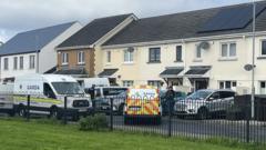 Bodies of child and man found at house in Dublin