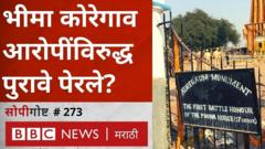 भीमा कोरेगाव प्रकरण