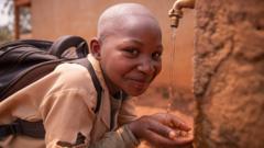 Nutrition : Les 5 principaux avantages de la mangue pour la santé - BBC  News Afrique