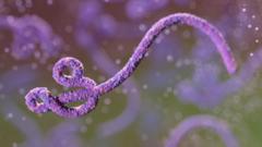 Africa summit in India postponed over Ebola outbreak fears