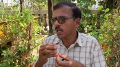 మిద్దె సాగు
