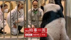 中國大熊貓保護研究中心專家魏明（左一）、吳虹林（左二）在台灣台北動物園探視大陸贈台大熊貓（新華社圖片2/11/2022）