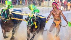 Srinivas Gowda: The Indian buffalo racer compared to Usain Bolt