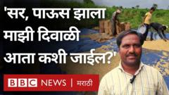 शेतकऱ्यांची दिवाळी कशी होणार? पावसामुळे सोयाबीनचं पीक वाया गेलं