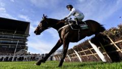 Henderson eyes chasing career for Constitution Hill