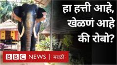 हत्ती