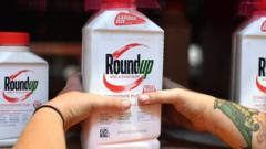 File photo taken on July 9, 2018, shows an employee placing Roundup products on a shelf at a store in San Rafael, California