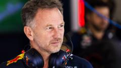 Allegations a 'distraction' for Red Bull - Horner