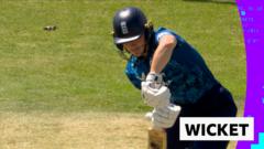 Could This Be the Wicket of the Century?