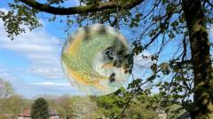 Woodland animal trail created in memory of teenager