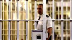 What could happen to prisoner early release scheme now PM has paused it?