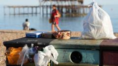 More than 20 tonnes of rubbish left on beach in heatwave
