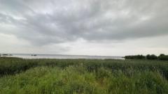 New eel fishery measures announced for Lough Neagh