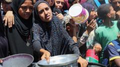 Almost a third of people in Gaza not eating for days, UN food programme warns