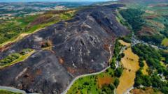 Wildfire-ravaged habitats could take centuries to recover, environmentalists say