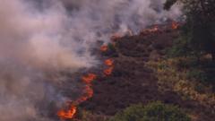 Aerial footage shows wildfire tearing through Suffolk heathland