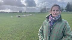 'Dim geiriau i ddisgrifio' effeithiau ymosodiad gan gi ar ŵyn bach