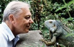 David Attenborough says he is 'overwhelmed' by 100th birthday messages
