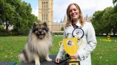 Could Your Dog Be Westminster's Next Champion?