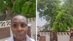 'This tree was planted by my ancestor hundreds of years ago and my family settled here'
