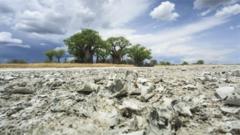 Lake Makgadikgadi dry well well now