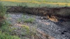 Community moves thousands of fish after brook dries out