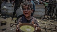 'My youngest child doesn't know what fruit tastes like': Gaza residents on famine