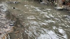 Pollution fears as clear beck turns black