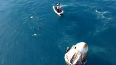 Watch: Dolphins surround Dragon capsule after successful splashdown