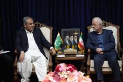وزیر کشور پاکستان برای گفت‌و‌گو با مقامات ایران وارد تهران شد