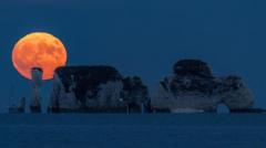 In pictures: Stunning Strawberry Moon lights up the sky