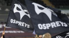 Ospreys sign Greatbanks from second-tier French club