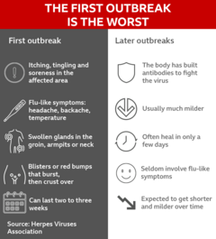 Graphic with information from Herpes Viruses Association on how the first outbreak is the worst, but later outbreaks are usually much milder. Symptoms of the first outbreak include: itching, tingling, and soreness in the affected area, flu-like symptoms, swollen glands and blistering or red bumps that crust over. Symptoms of later outbreaks are often milder and heal in only a few days.