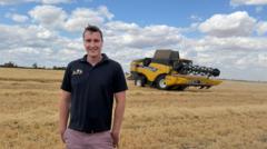 'There won't be any profit in this year's harvest'