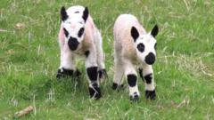 Your pictures of Scotland