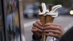 Council seeking van sales ban 'not anti-ice cream'