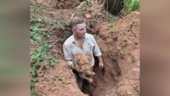 Dog trapped underground for four days rescued