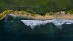 Costa vistapoker para pccima