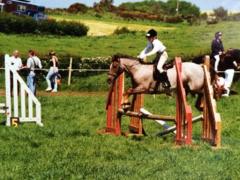 UK’s ‘oldest horse’ celebrates 46th birthday