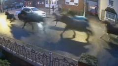 Watch: Runaway horses gallop through village streets