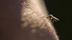 Malaria is caused by parasites from biting mosquitoes