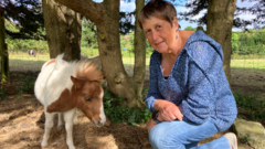 Foal stolen from its mother found 300 miles from home