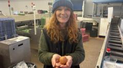 'One-in-a-billion' round egg discovered in Devon