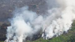 How does wildfire smoke affect your health?