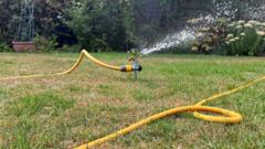 Water company 'can't rule out' hosepipe ban