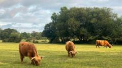 Is the UK Heatwave Over as Cool Weather and Rain Make a Comeback?