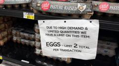 US to import millions of eggs from Turkey and South Korea to ease prices